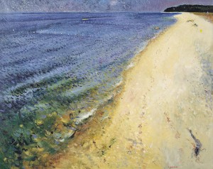 The shore at Sauthold 1983